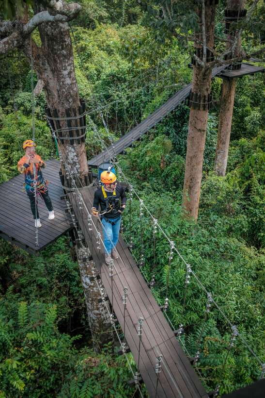Angkor Zipline and Temple Tour with Sunset - Phnom Bakheng and the final light