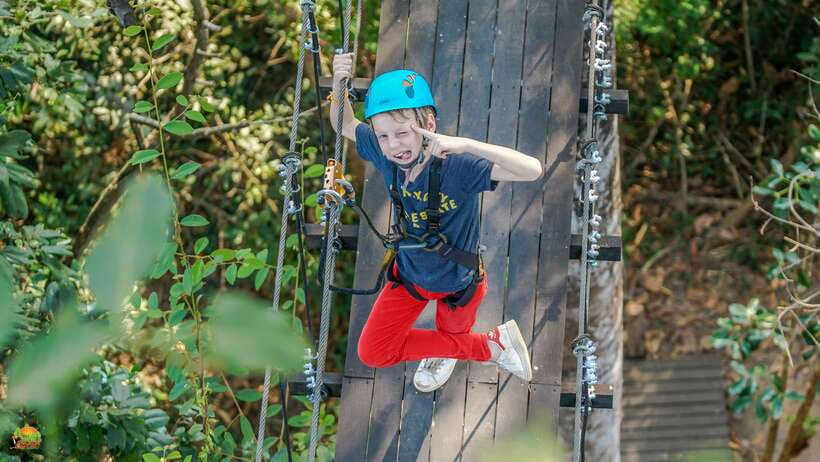 Angkor Zipline Eco-Adventure Canopy Tour - Flying Through Angkor’s Forest Canopy