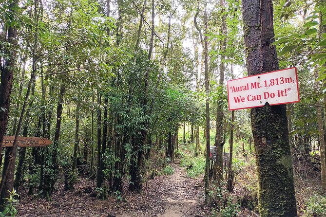 Aural Mountain Trek: Cambodia Tallest Peak Challenge - Who should choose this trek