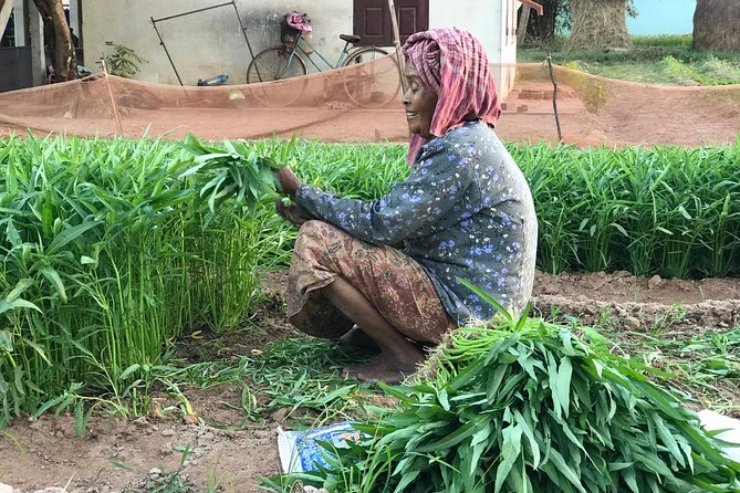 Authentic Cambodian Countryside Jeep Experience - Duck fields and rural livelihoods