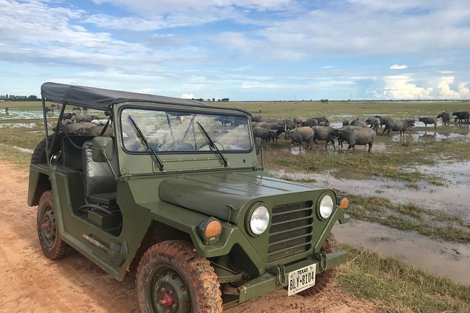 Authentic Cambodian Countryside Jeep Experience - Sunset over the rice fields
