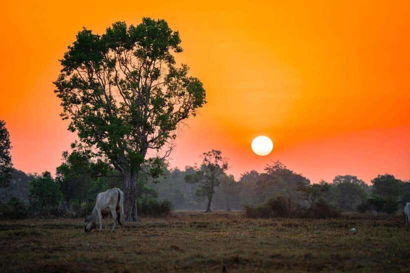 Authentic Siem Reap: Tuk Tuk Countryside and Sunset Tour - Why this countryside tour makes a good break from the temples