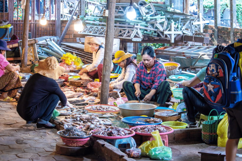 Authentic Siem Reap: Tuk Tuk Countryside and Sunset Tour - Rice fields and the practical work behind rice wine