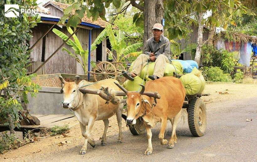 Back to Basics: Siem Reap Village Tour in Cambodia - Lunch beside the lake or with a host family