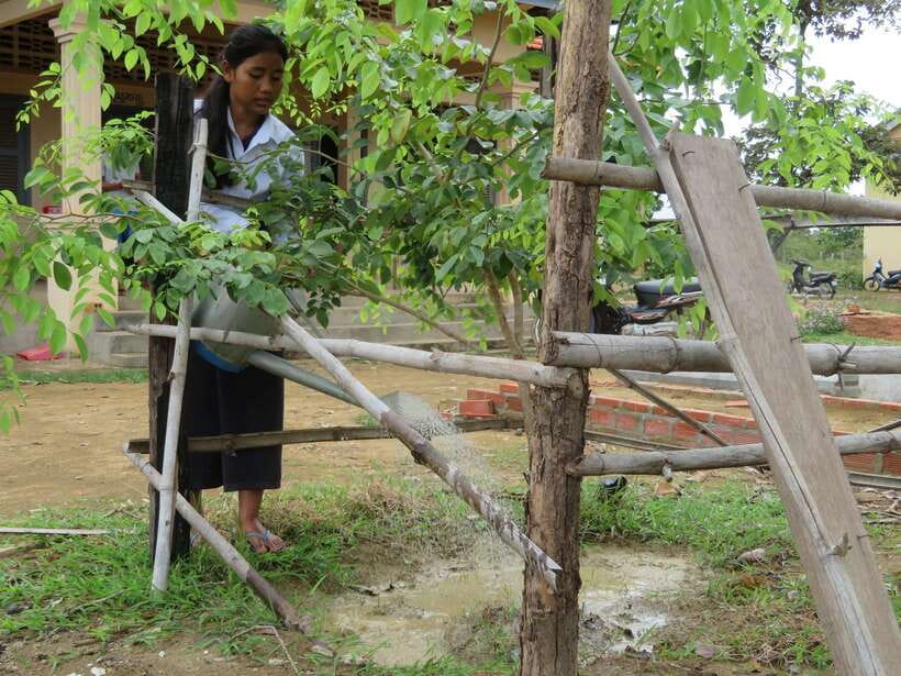 Back to Basics: Village Life Tour from Siem Reap - Key points to know before booking