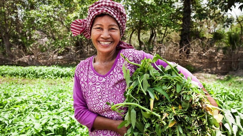 Back to Basics: Village Life Tour from Siem Reap - Meeting a guide who knows the community