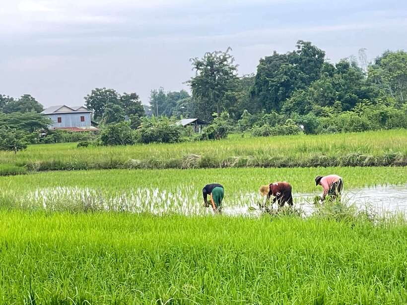 Battambang: Bamboo Train, Bat Cave and Killing Cave Tour - Who will enjoy this tour most