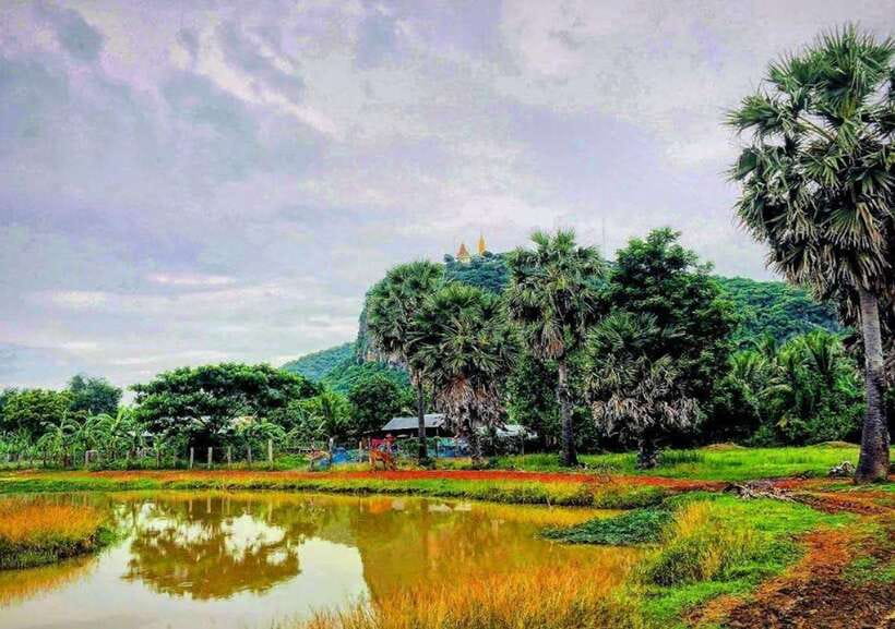 Battambang: Bamboo Train, Bat Cave, Killing Cave by Tuk Tuk - Sunset at the Bat Cave
