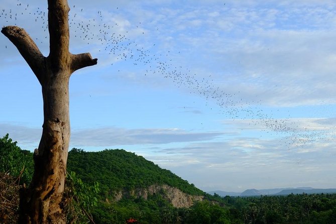 Battambang Full Day Tour from Siem Reap - Bamboo Train, Killing Cave & Sunset - Phnom Sampeau and the secret bat cave