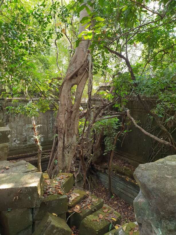 Beng Mealea, Koh Ker & Floating village Day Tour - Small details that improve the day