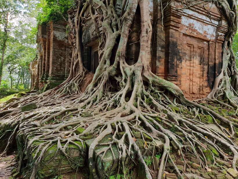 Beng Mealea, Koh Ker & Floating village Day Tour - Kompong Khleang and Tonle Sap life
