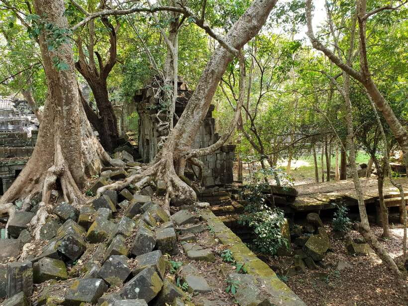 Beng Mealea, Koh Ker & Floating village Day Tour - Beng Mealea, where the jungle has taken over