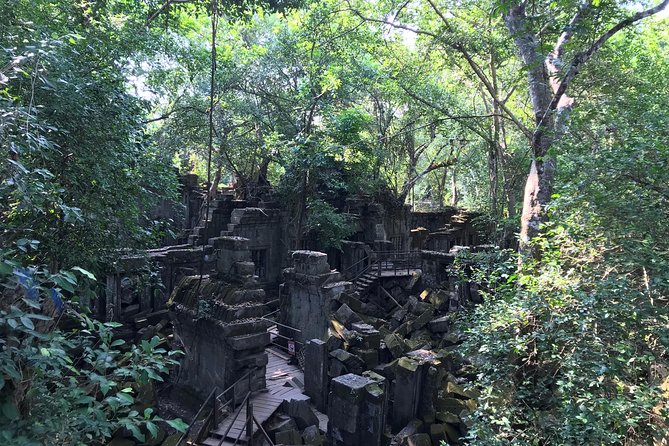 Beng Mealea - Koh Ker & Preah Vihear Private Tour - Beng Mealea: a temple being reclaimed by the jungle
