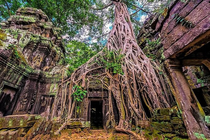 Cambodia 7 Days Tour from Siem Reap to Battambang and Phnom Penh - What the $1,025 price covers