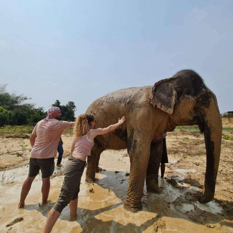 Cambodia Elephant Sanctuary and Banteay Srey Temple Tour - FAQ
