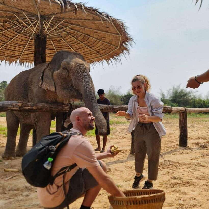 Cambodia Elephant Sanctuary and Banteay Srey Temple Tour - Why the elephant cooking activity matters