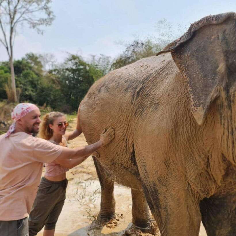 Cambodia Elephant Sanctuary and Banteay Srey Temple Tour - Kbal Spean and the walk to 1,000 Lingas