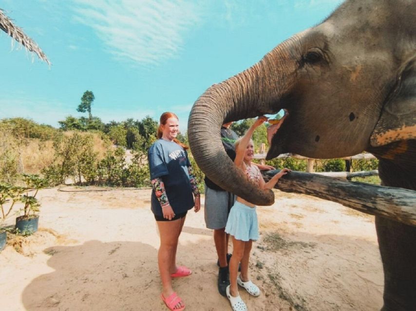 Cambodia Elephant Sanctuary and Banteay Srey Temple Tour - Timing, transport, and the real value of $71