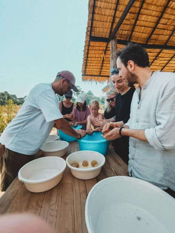 Cambodia Elephant Sanctuary and Banteay Srey Temple Tour - Who should book this experience