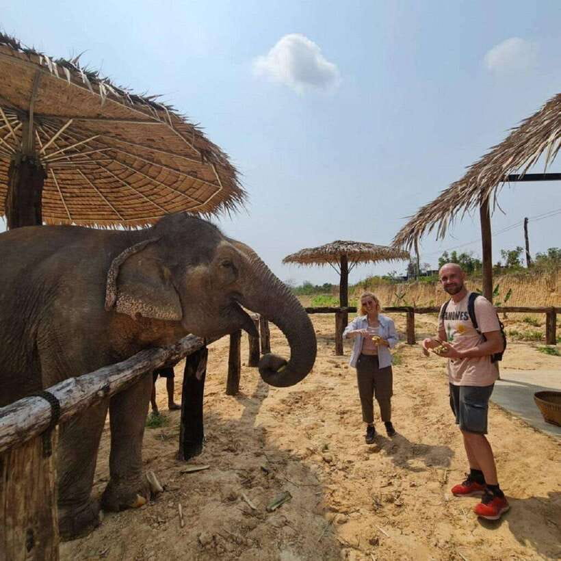 Cambodia Elephant Sanctuary and Banteay Srey Temple Tour - Should you book the elephant sanctuary and temple tour?