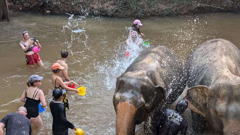 Cambodia Elephant Sanctuary Include Hotel Transfer Roundtrip - What Is Included for $122 Per Person