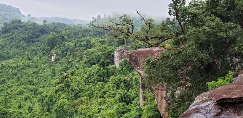 Cambodia Elephants Haft Day Experiences from Siem Reap - The viewpoint and return to Siem Reap