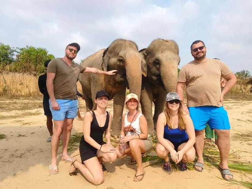 Cambodia Elephants Haft Day Experiences from Siem Reap - What this half-day elephant visit is really like
