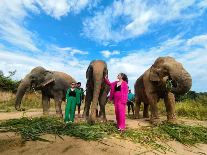 Cambodia Elephants Haft Day Experiences from Siem Reap - The 40-minute ride from Siem Reap