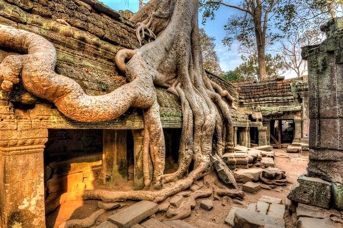 Cambodia Highlight 6 Days Tour from Siem Reap to Phnom Penh - Who will get the most from this tour