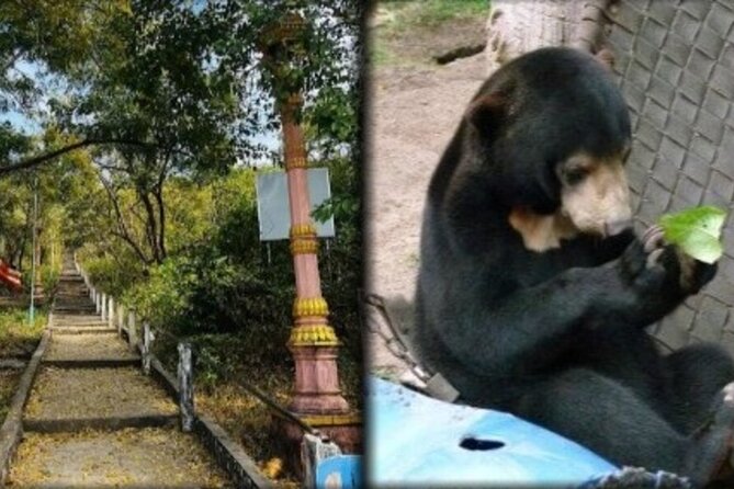 Cambodia Wildlife Sanctuary and Countryside Tour - Why this Phnom Penh day trip feels different