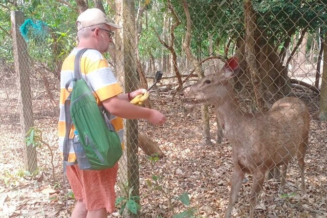 Cambodia Wildlife Sanctuary and Countryside Tour - Climbing to Phnom Chisor’s ancient temple