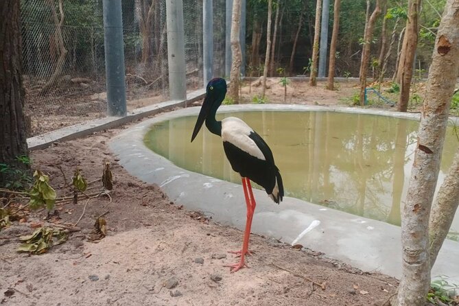 Cambodia Wildlife Sanctuary and Countryside Tour - Who should choose this Cambodia countryside tour?