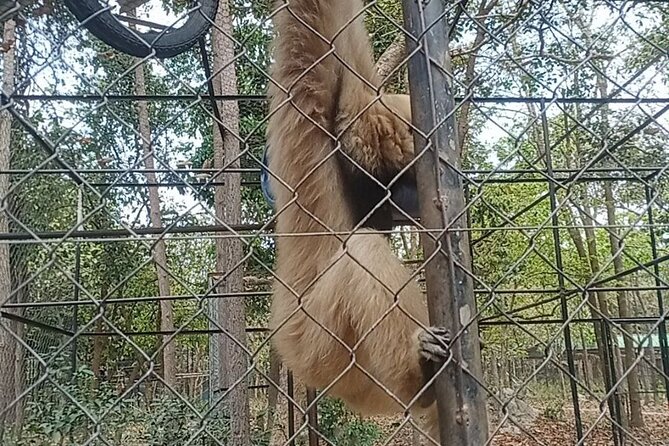 Cambodia Wildlife Sanctuary and Countryside Tour - Tonle Bati, lunch, and a taste of provincial Cambodia