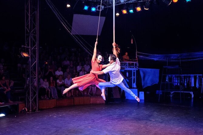 Cambodian Circus Show in Siem Reap by Phare with Hotel Pick-Up - Who Will Enjoy This Show Most?