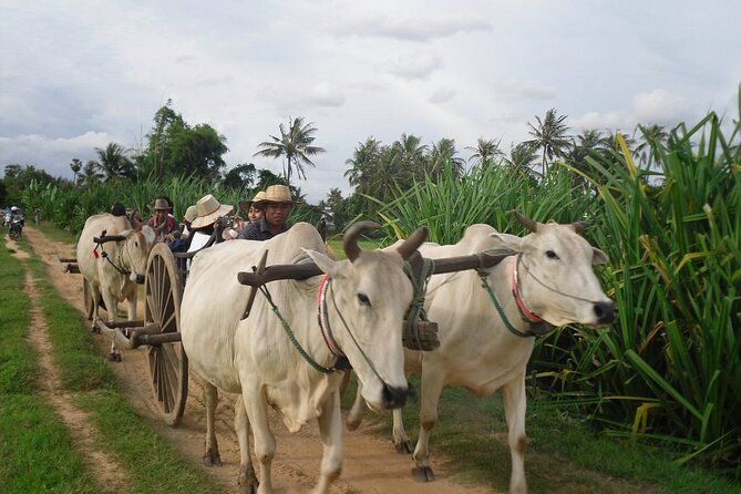 Cambodian Cooking Class and Oxcart Ride with Local Village Tour - Starting in Siem Reap by tuk-tuk