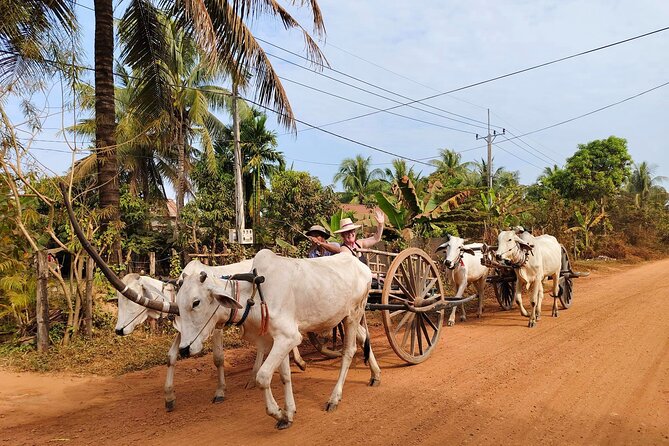 Cambodian Cooking Class and Oxcart Ride with Local Village Tour - How the price compares with what you receive