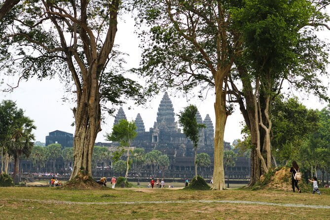 Classic Angkor Wat Sunrise Full Day Private Guide Tour - Ta Prohm and the Power of the Jungle Setting