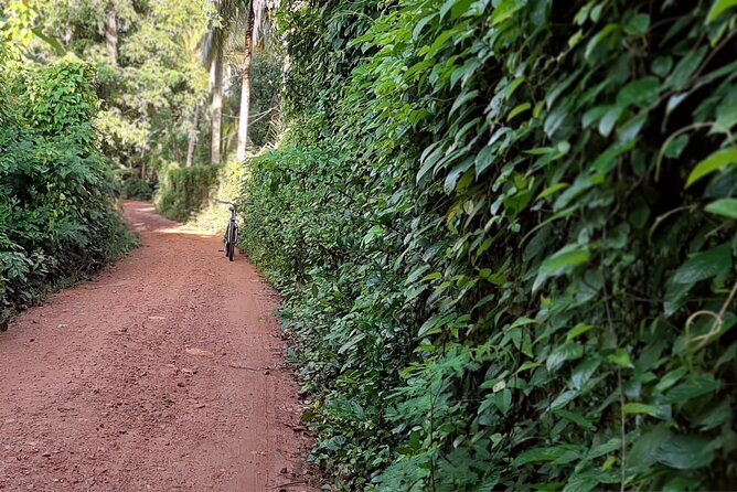 Cultural Cycling Tour - half day (8:00-11:30) - The bicycle pace and route feel