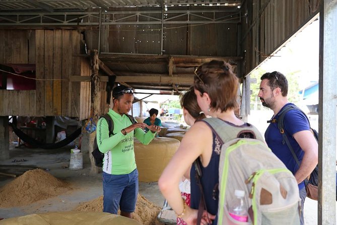 Customs and Culture Half Day Walk and Bike Tour in Battambang - Rice fields and the work behind Cambodian food