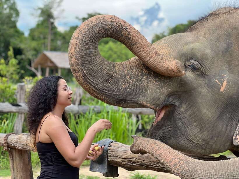 Elephant Sanctuary Cambodia, Pickup and drop off included - Key points to know before you book