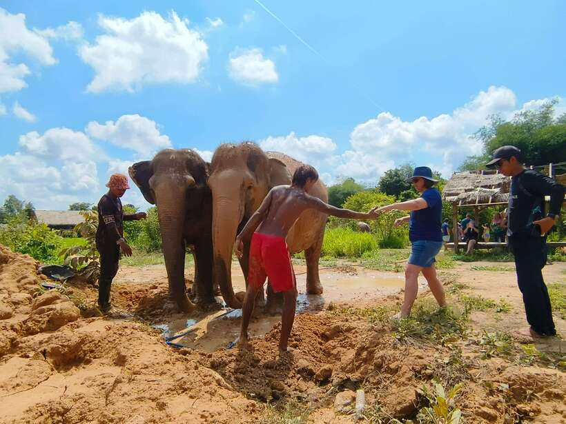 Elephant Sanctuary Cambodia, Pickup and drop off included - What to wear and bring