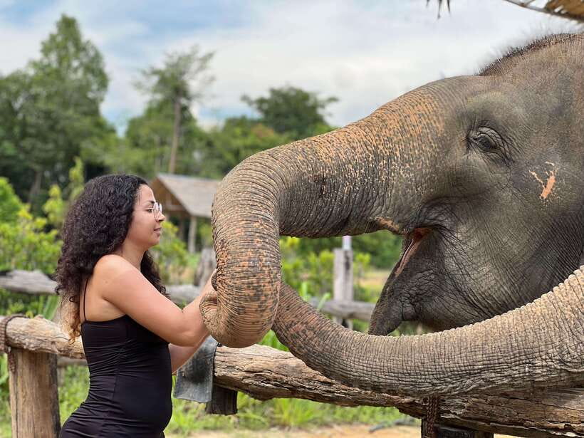 Elephant Sanctuary Cambodia, Pickup and drop off included - Making food before the feeding session
