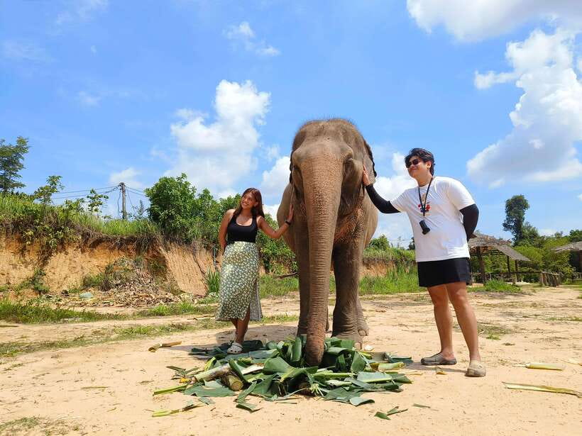 Elephant Sanctuary Cambodia, Pickup and drop off included - Watching the elephants after the activities