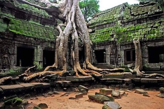 Explore Angkor Wat Sunrise Small Tour Private VIP Car - Angkor Thom and the Bayon faces