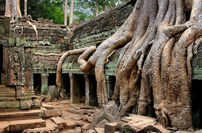 Explore Angkor Wat Temple , Bayon Temple and Jungle Temple Ta-Prohm - Booking and cancellation details