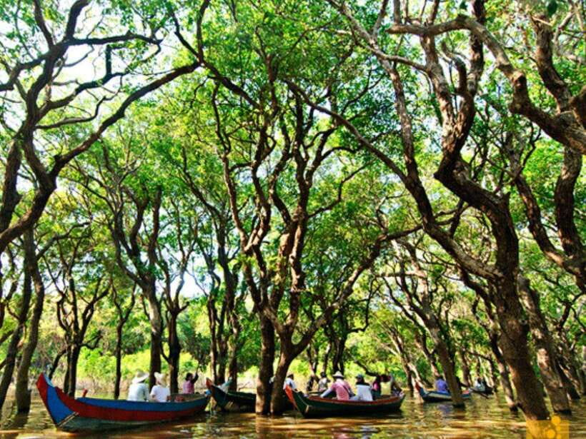 Floating Village-Mangroves Forest Tonle Sap Lake Boat Tour - Tonle Sap opens into a bigger view