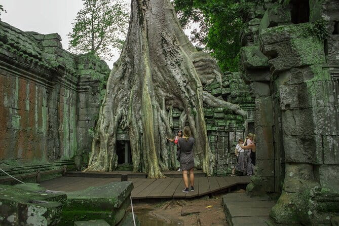 (Free eSim) Classic Angkor Wat Sunrise Full Day Tour - Ta Nei, the quieter stop in the forest