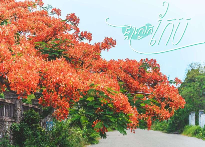 From Phnom Penh: Kampot and Kep Day Trip with English Guide - Kampot town and the riverfront question