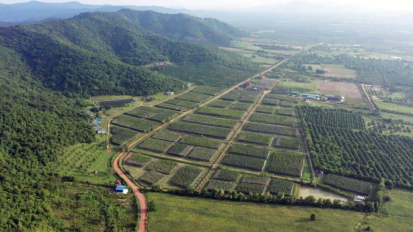 From Phnom Penh: Kampot Day Trip to Beautiful place W/ Guide - Phnom Chhngok Cave Temple