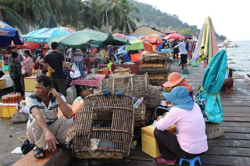 From Phnom Penh: Kampot Day Trip to Beautiful place W/ Guide - Salt fields and seasonal work near Kampot